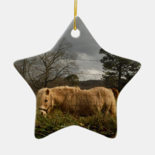 Blond Miniature Pony / Pferd Keramik Ornament