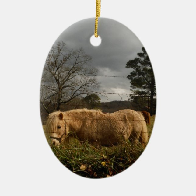 Blond Miniature Pony / Pferd Keramikornament (Vorne)