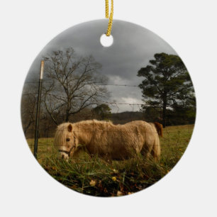 Blond Miniature Pony / Pferd Keramikornament