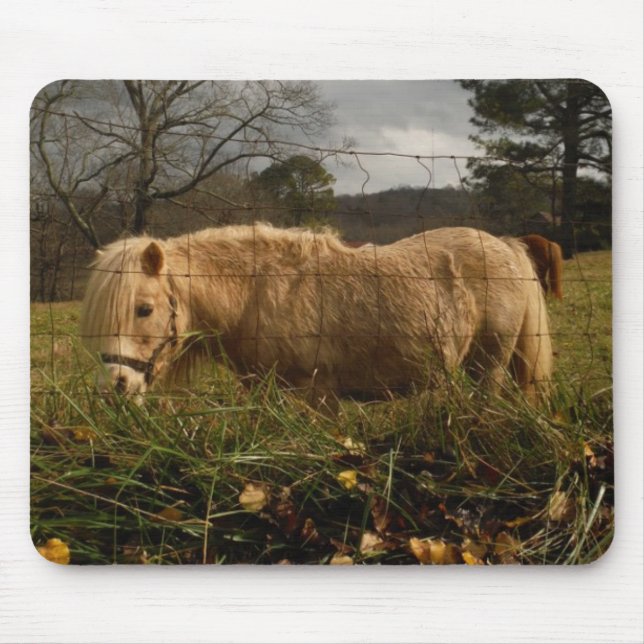Blond Miniature Pony / Pferd Mousepad (Vorne)