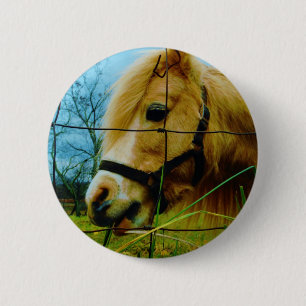Blond Miniature Pony / Pferdeblauer Himmel Button