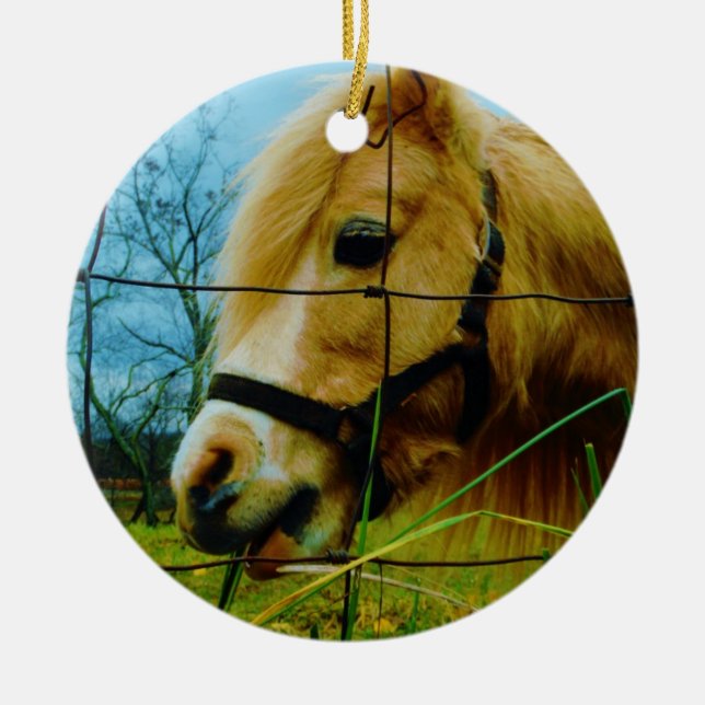 Blond Miniature Pony / Pferdeblauer Himmel Keramik Ornament (Vorne)