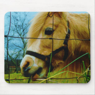 Blond Miniature Pony / Pferdeblauer Himmel Mousepad