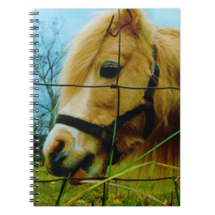 Blond Miniature Pony / Pferdeblauer Himmel Notizblock