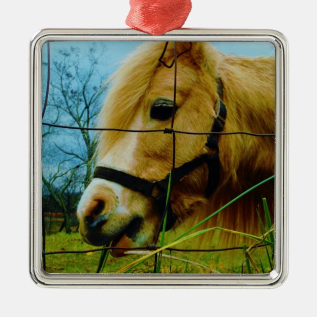 Blond Miniature Pony / Pferdeblauer Himmel Ornament Aus Metall (Vorne)