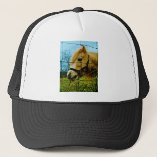 Blond Miniature Pony / Pferdeblauer Himmel Truckerkappe