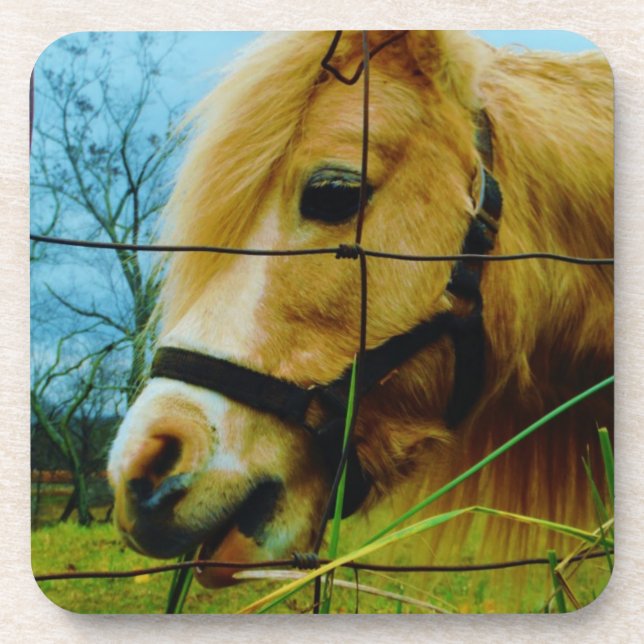 Blond Miniature Pony / Pferdeblauer Himmel Untersetzer (Vorderseite)