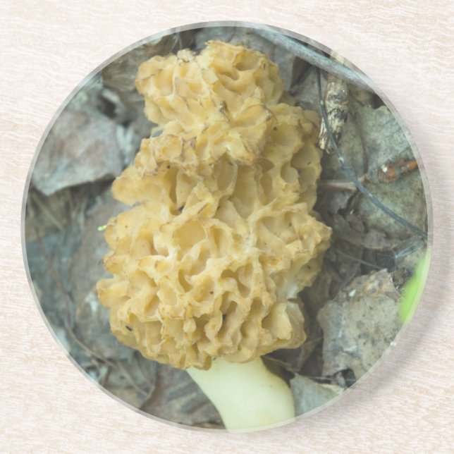 Blond Morel Mushroom Getränkeuntersetzer (Vorne)