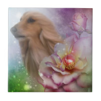Blonde Afghan Hund Blume Hund