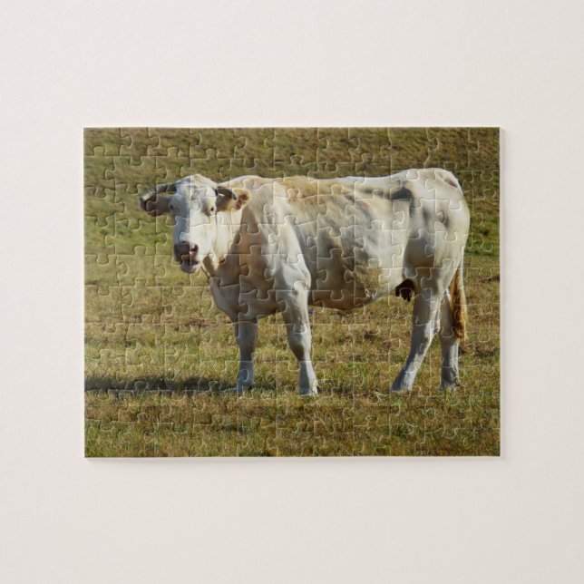 Blonde Aquitaine Kuh Puzzle (Horizontal)
