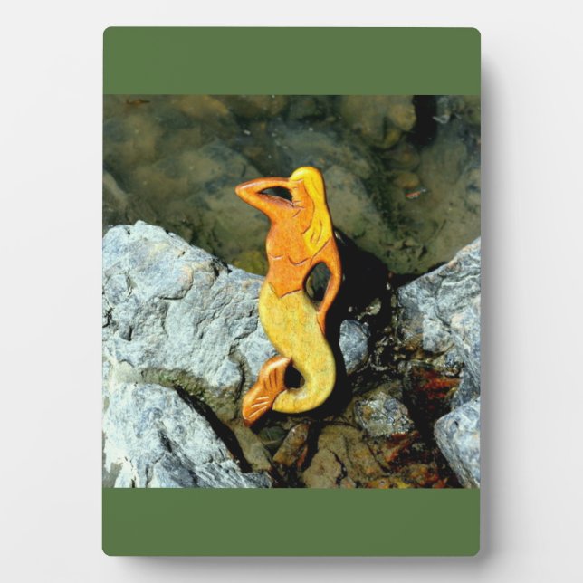 Blonde-Aussichtshemme Fotoplatte (Vorderseite)