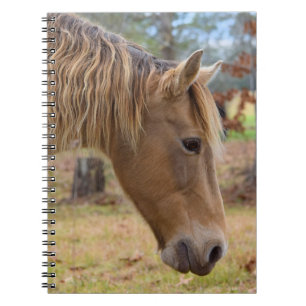 Blonde Beauty Horse Notebook Notizblock