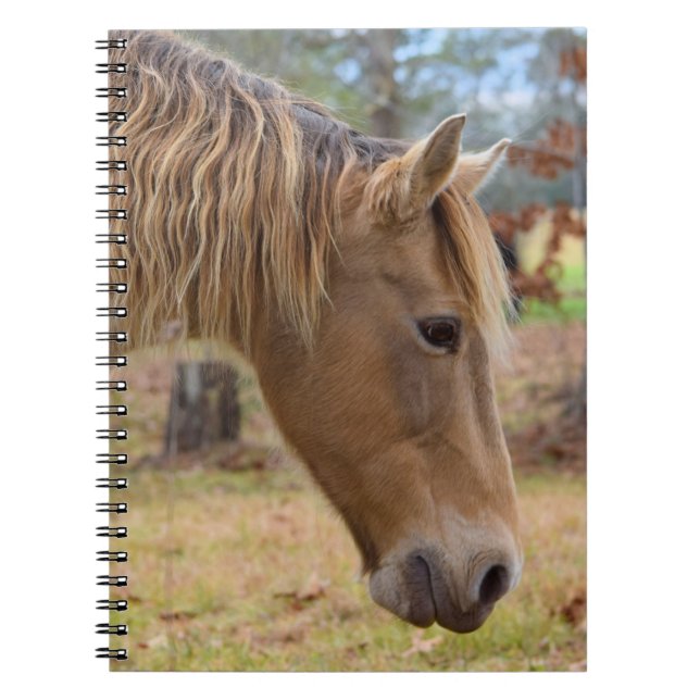 Blonde Beauty Horse Notebook Notizblock (Vorderseite)