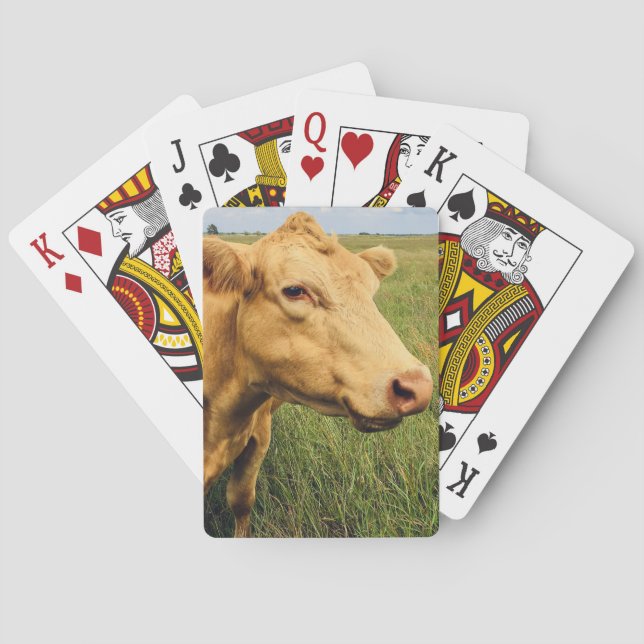 Blonde Cow Spielkarten (Rückseite)
