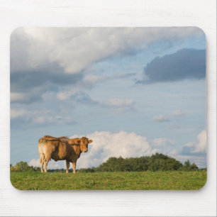 Blonde d'Aquitaine Kuh in Dordogne-Region, Mousepad