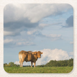 Blonde d'Aquitaine Kuh in Dordogne-Region, Rechteckiger Pappuntersetzer