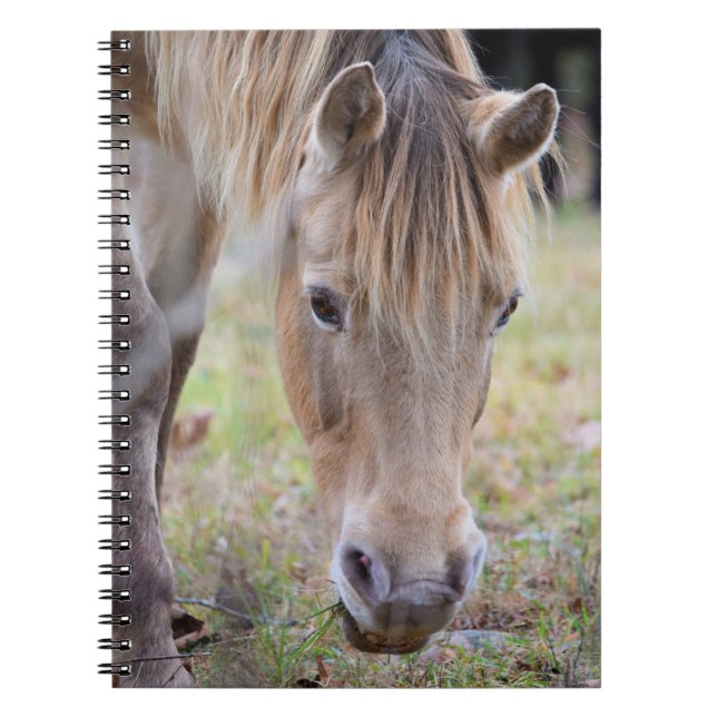 Blonde Horse Notebook Notizblock (Vorderseite)