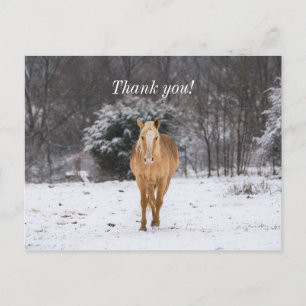 Blonde Pferde Spaziergang im Schnee Danke Postkart Postkarte