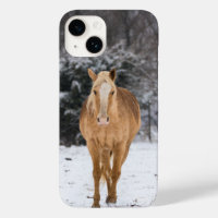 Blonde Pferdewanderung im Fall Snow iPhone