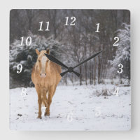 Blonde Pferdewanderung in der Schneemauer