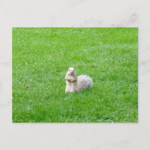 Blonde Postkarte