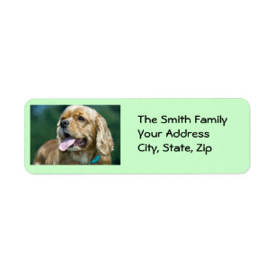 Blonder Cocker spaniel-Aufkleber