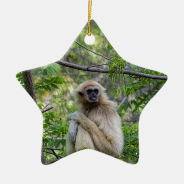 Blonder Gibbon-Affe - Hylobates Lar Keramik Ornament (Vorne)