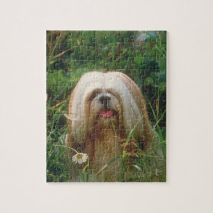 Blondes Hundepuzzlespiel Lhasas Apso Puzzle