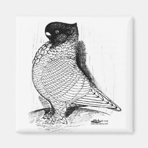 Blondinette Pigeon Laced 1978 Magnet