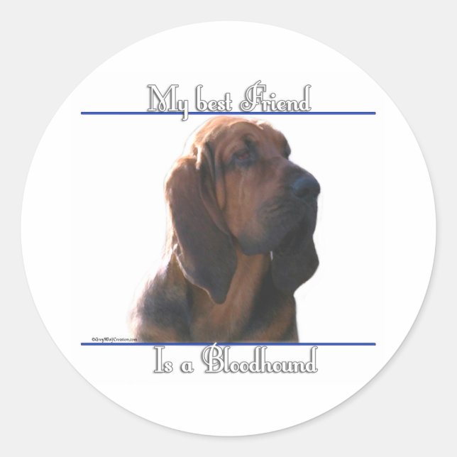Bloodhound Best Friend; Bloodhound Geschenke; Runder Aufkleber (Vorderseite)