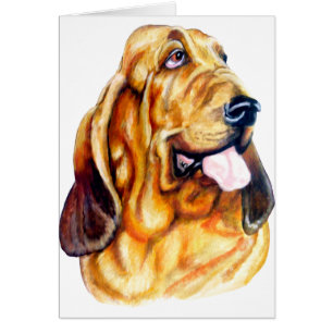 Bloodhound Bust