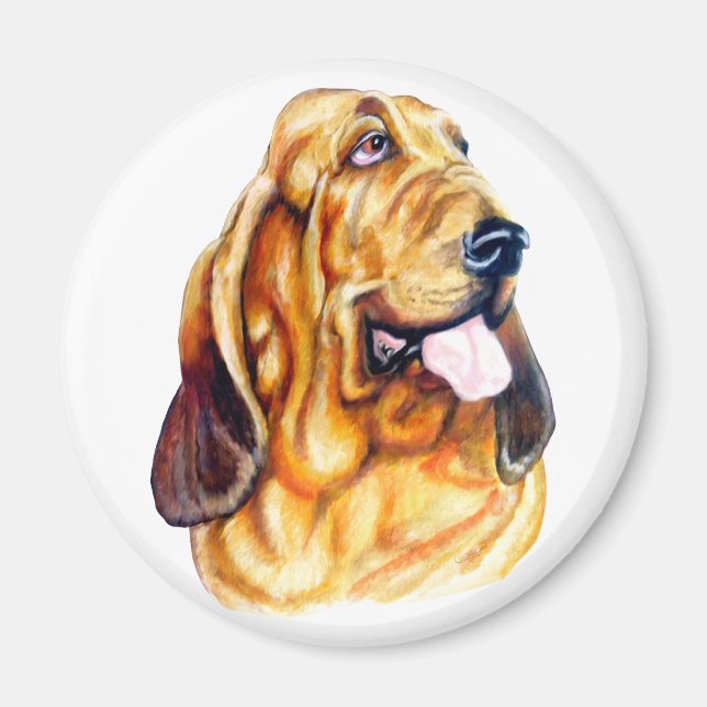 Bloodhound Bust Magnet (Vorne)
