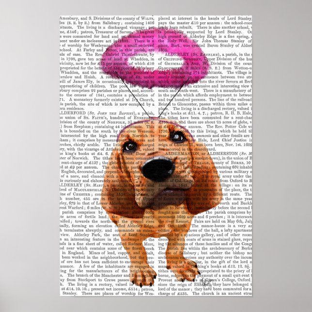 Bloodhound mit Angelic Pink Halo Poster (Vorne)