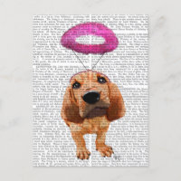 Bloodhound mit Angelic Pink Halo