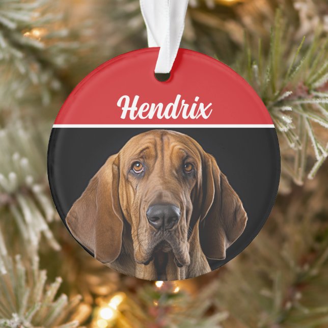 Bloodhound mit Name und Foto Weihnachten Ornament (Baum)