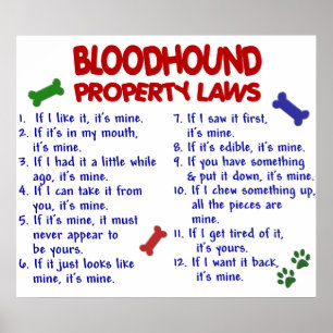 BLOODHOUND PL2 POSTER