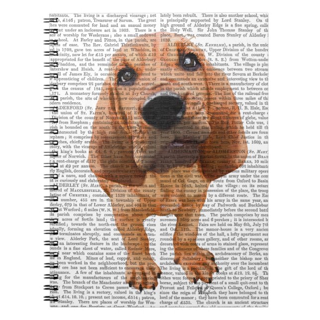 Bloodhound Puppy Notizblock (Vorderseite)