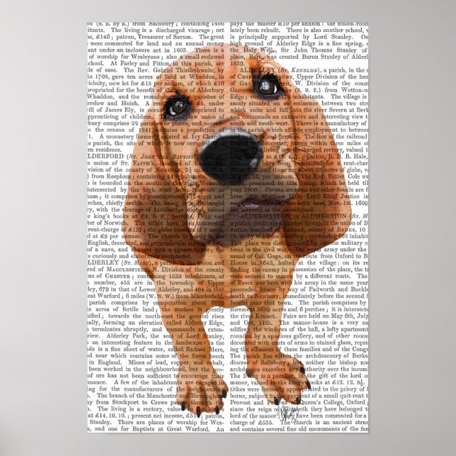 Bloodhound Puppy Poster (Vorne)