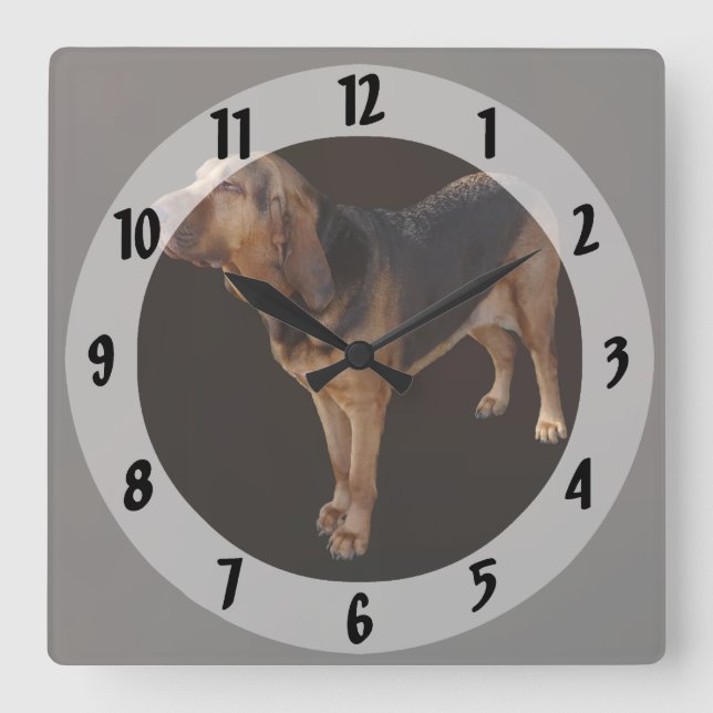 Bloodhound Quadratische Wanduhr (Vorderseite)