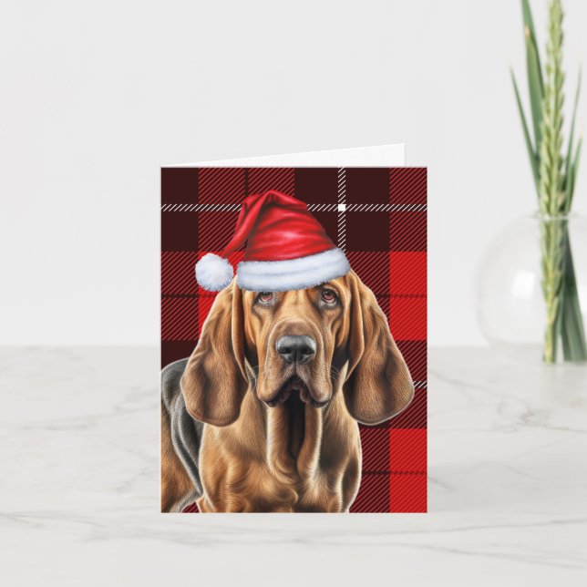 Bloodhound Red Saasonal Karierte Weihnachten (Vorderseite)