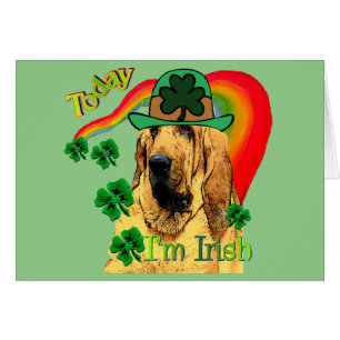 Bloodhound Saint Patricks