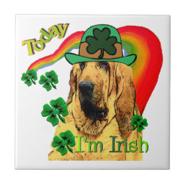 Bloodhound st Patricks Fliese