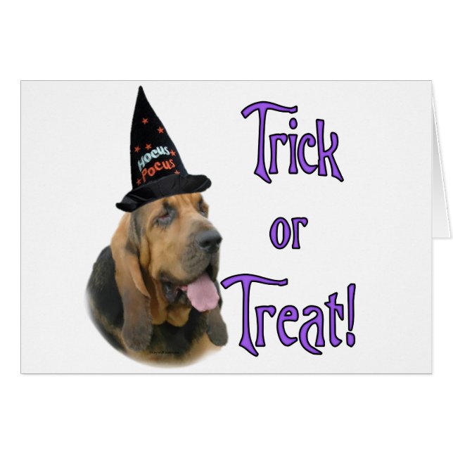 Bloodhound Trick (Vorderseite (Horizontal))