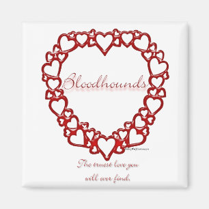 Bloodhound True Love Magnet