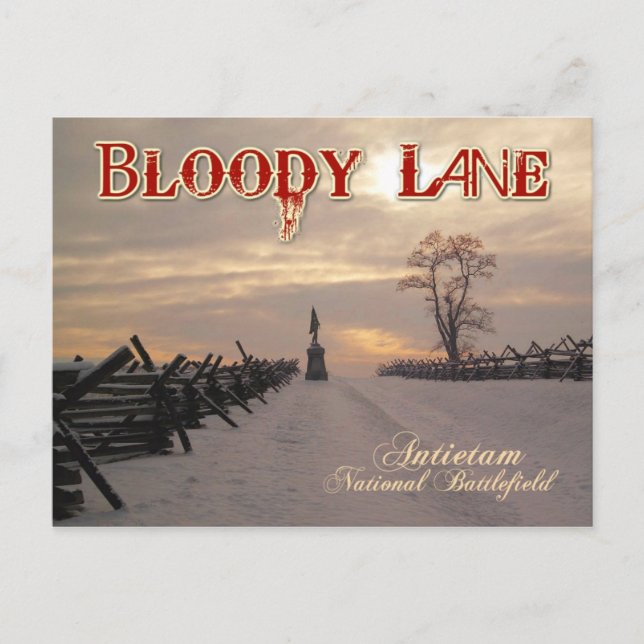 Bloody Lane, Antietam National Schlachtfeld, MD Postkarte (Vorderseite)