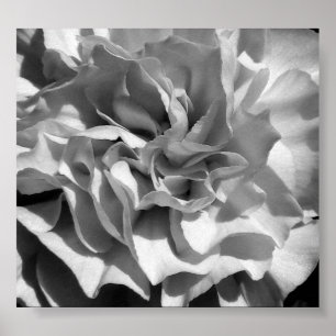 Bloom #4 poster
