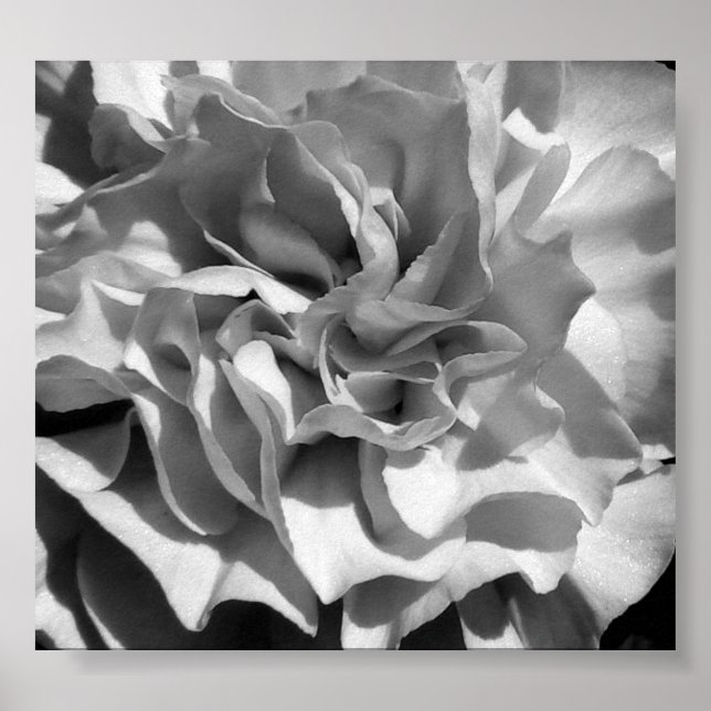 Bloom #4 poster (Vorne)