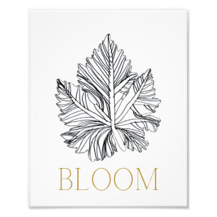 BLOOM-Druck Fotodruck