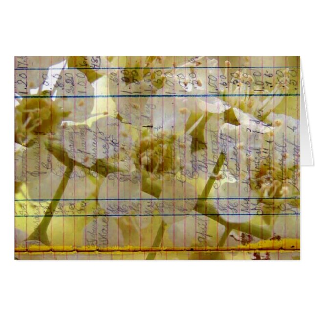Bloom Vintage Ledger Page Cherry Blossom (Vorderseite (Horizontal))