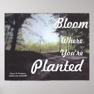 "BLOOM where you are PLANTED" POSTER
